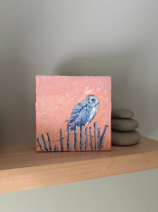 Winter Owl - Original Painting